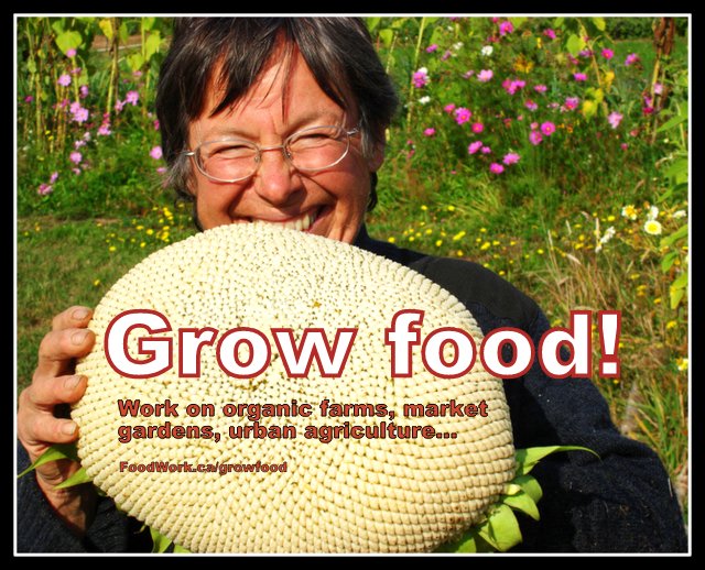 Local Food Jobs, Sustainable Farming and Agriculture: FoodWork.ca